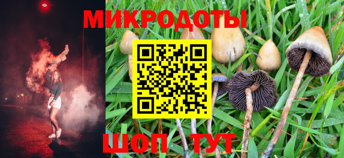 Галлюциногенные грибы Magic Shrooms  купить закладку  Муром  Вход с VPN 