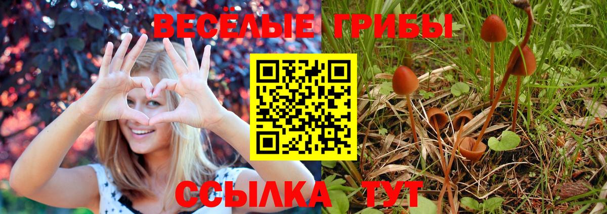 Галлюциногенные грибы Cubensis Муром
